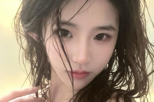 一架轻型飞机在波兰坠毁 造成两人死亡